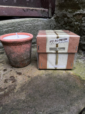 No 37 Heliotrope Ashes of Rose Candle in Rustic Terracotta Planter