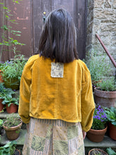 JLS Velvet Cropped Jacket D45