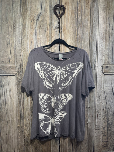 Magnolia Pearl California Butterfly T 2283