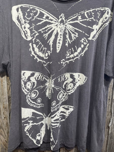 Magnolia Pearl California Butterfly T 2283