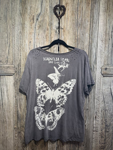Magnolia Pearl California Butterfly T 2283